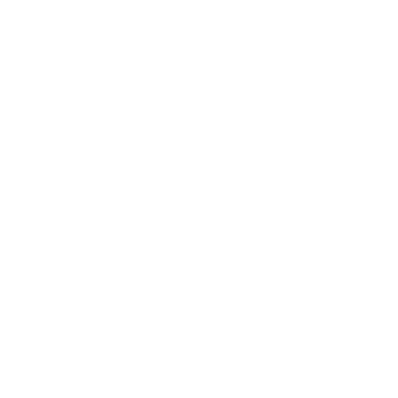 DVS360 Logo